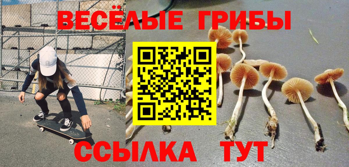 Галлюциногенные грибы Magic Shrooms  Галлюциногенные грибы Magic Shrooms  Вход с VPN  купить   Зеленогорск 